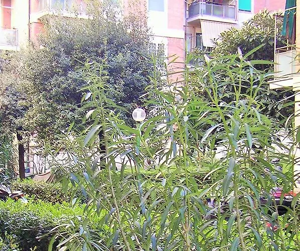 Whatshouse בית הארחה